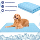 🐾 50% RABATT! ❄️ Premium Kühlmatte für Hunde & Katzen – Atmungsaktiv & waschbar – Perfekt für heiße Tage, Boden oder Sofa – bringt natürliche Abkühlung ohne Strom 🌿☀️
