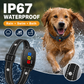 Intelligentes Antibellhalsband für Hunde