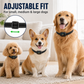 Intelligentes Antibellhalsband für Hunde