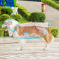 🔥50 % Rabatt🔥 Transparenter Hunde-Regenmantel – schützt vor Regen, zeigt das natürliche Fell 🐕