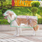 🔥50 % Rabatt🔥 Transparenter Hunde-Regenmantel – schützt vor Regen, zeigt das natürliche Fell 🐕
