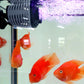 Mini-Wasserzirkulationspumpe für Aquarien