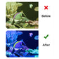 🫧🐠4-in-1-Aquarienfilter - Filtration, Belüftung, Abfallbeseitigung, Wasserförderung