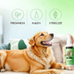Pet Oral Care Spray for Dogs & Cats