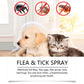 💥 MEGA DEAL: KAUF 2, ERHALTE 1 GRATIS 🎁 Natürlicher Lopp- & Fästingspray 🐶🐱 schützt effektiv & schonend 🌿