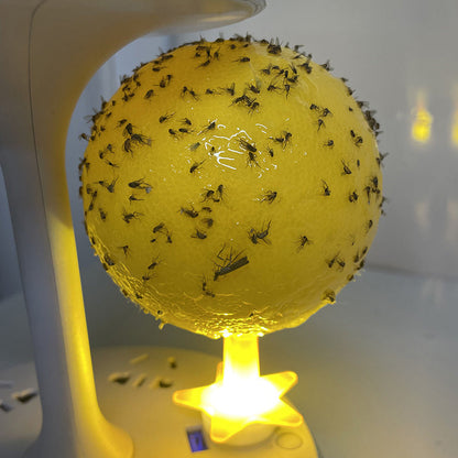 Klebrige Fruchtfliegenfalle mit Ständer und LED