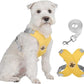 🥳HEISSER SALE 2026🥳💞50.000+ VERKAUFT!👵  X-förmiges Anti-Zug-Hundegeschirr-Set mit Leine