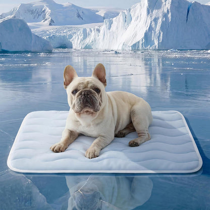 🐾❄️ Atmungsaktive Kühlmatte für Haustiere – Maschinenwaschbar, Gelenkschonend & Ideal für Heiße Sommertage | Für Zuhause, Auto & Transportbox!