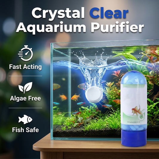 Tabletten zur Algenentfernung im Aquarium