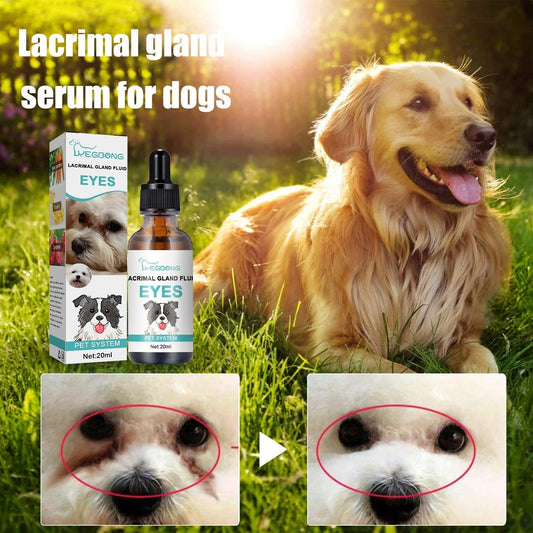 🥳2026 HEISSER ABVERKAUF🥳💞ÜBER 50.000 VERKAUFT!🐱🐶 50 % RABATT! Augenreiniger & -tropfen für Haustiere – Sanfte, pH-neutrale Formel, sicher für Hunde und Katzen. Lindert Rötungen, entfernt Tränenflecken und alltäglichen Schmutz. Ohne Peroxid! 🌿💧