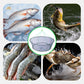 🎣 Zusammenklappbares Fischernetz mit Einholseil