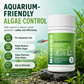 Schnell wirkende Tabletten zur Algenbekämpfung im Aquarium