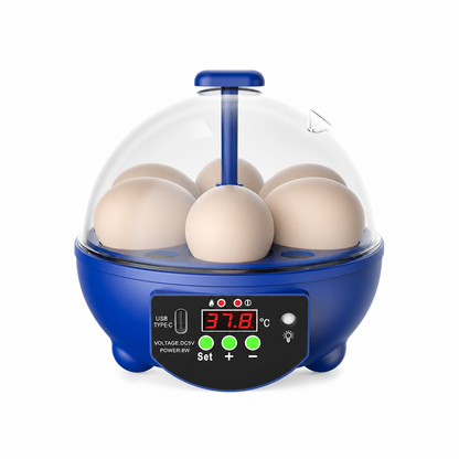Automatischer USB-Eierbrüter – automatische Eierwendung, gleichmäßige Wärmezirkulation, leiser Betrieb & freie Sicht. Brüten Sie Küken, Enten & Wachteln zu Hause aus.